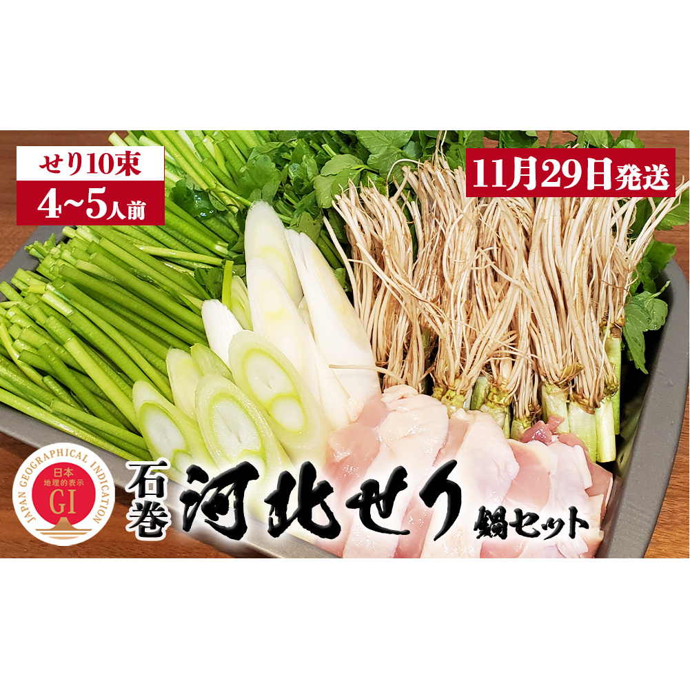 【11月29日発送】せり鍋 セット 4-5人前 せり 長ねぎ パックご飯 スープ 鶏肉 セリ セリ鍋 河北せり 野菜 鍋