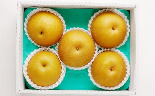 熊本県産 あきづき梨 約2kg