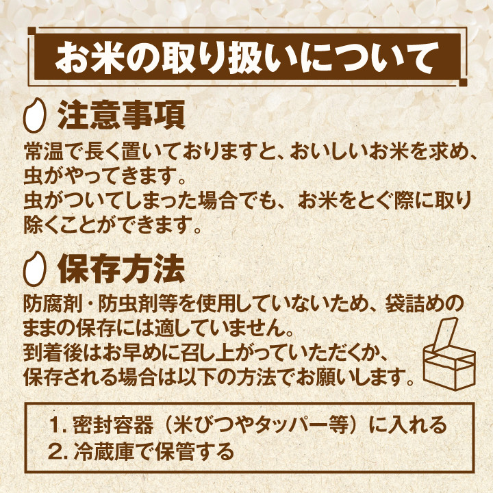 大山町産こしひかり【大山の一粒】10ｋｇ（玄米）