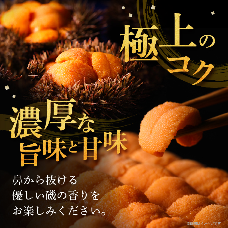 ≪氷温熟成≫生折うに(天然バフンウニ)　120g×1枚_H0009-101