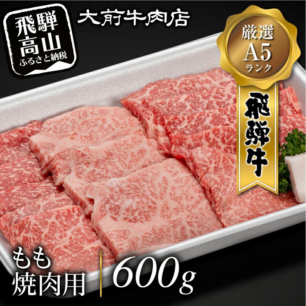 【ふるさと納税】A5 飛騨牛もも 焼肉用 600g 肉 FG005