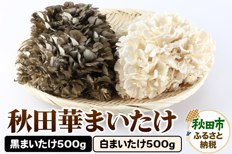 
            秋田華まいたけ 生まいたけセット 黒まいたけ 約500g 白まいたけ 約500g 舞茸
          