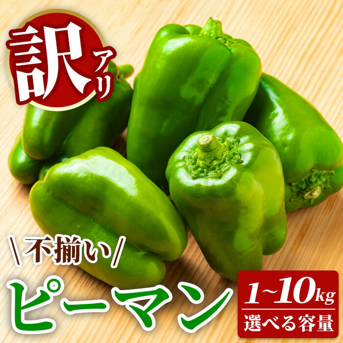 【ふるさと納税】先行予約 訳あり 不揃い 新鮮 ピーマン 選べる 1kg～10kg 野菜 朝採れ 農家直送 ふるさと納税 家庭用 炒め物 肉詰め 回鍋肉 ホイコーロー 栄養豊富 高評価 家計応援 6月〜10月発送 送料無料 岩手県 一関市