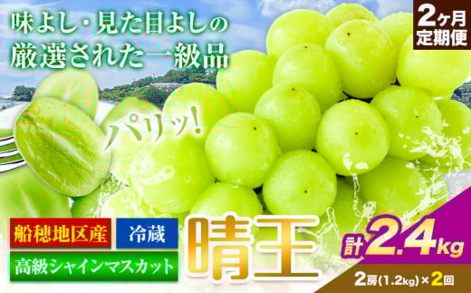 高級 シャインマスカット 2ヶ月定期便【2026年先行予約】ぶどう 晴王  岡山県産 2房(1.2kg×2ヶ月計2.4kg)《2026年9月上旬-10月末頃出荷(土日祝除く)》 ハレノフルーツ マスカット 送料無料 岡山県 浅口市 フルーツ 果物 贈り物 ギフト 国産 岡山県産【配送不可地域あり】