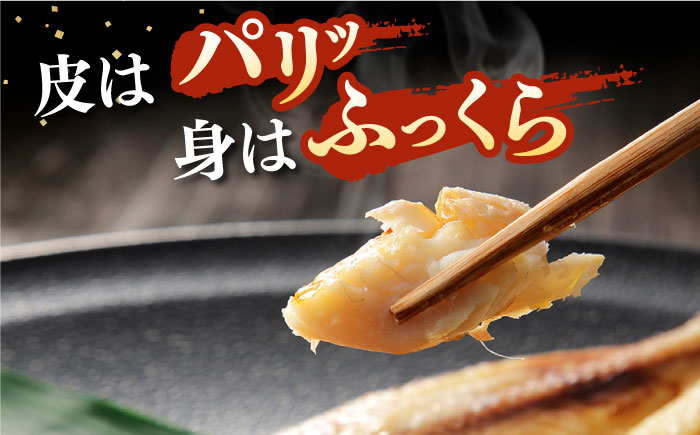 【全12回定期便】旬の海産物 干物詰め合わせ Cセット 《壱岐市》【マルミ海産物】[JCY014] 240000 240000円 24万円 干物 ひもの アジ イワシ イカ みりん干し タイ
