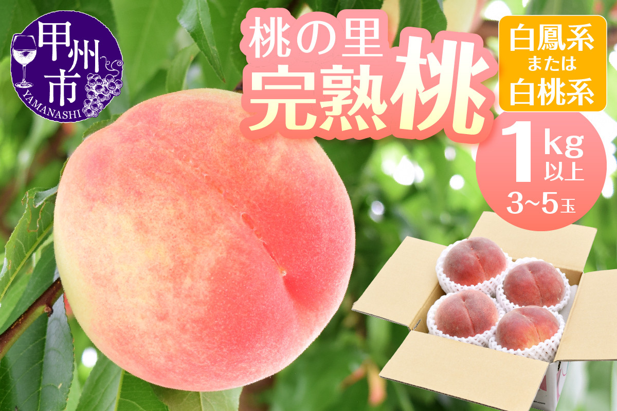 
            桃の里 完熟桃 1kg以上（3〜5玉）（HK）【白鳳系／白桃系】 【白鳳 白桃 桃 もも モモ 令和7年発送 期間限定 山梨県産 甲州市 フルーツ 果物】
          
