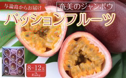 与論島産パッションフルーツ　奄美のジャンボウ8玉～12玉（約2kg前後）【先行予約：2026年6月中旬以降発送】| 果物 フルーツ パッションフルーツ 2kg 人気 おすすめ おすすめフルーツ 期間限定 鹿児島県 与論町