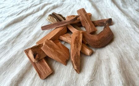 杏のチップの箸置き（5個セット）