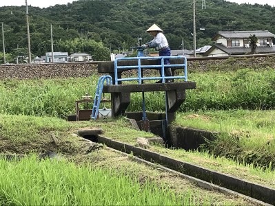 【先行予約！】美濃 ハツシモ「ふるさと物語」白米 10kg 精米 米 岐阜県 大垣市 