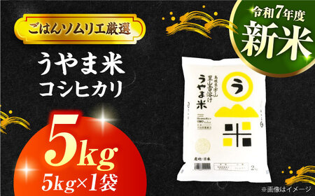 島根県産「うやま米 コシヒカリ（雲南市吉田町）」5kg（5kg×1）島根県松江市/有限会社藤本米穀店[ALCG039]