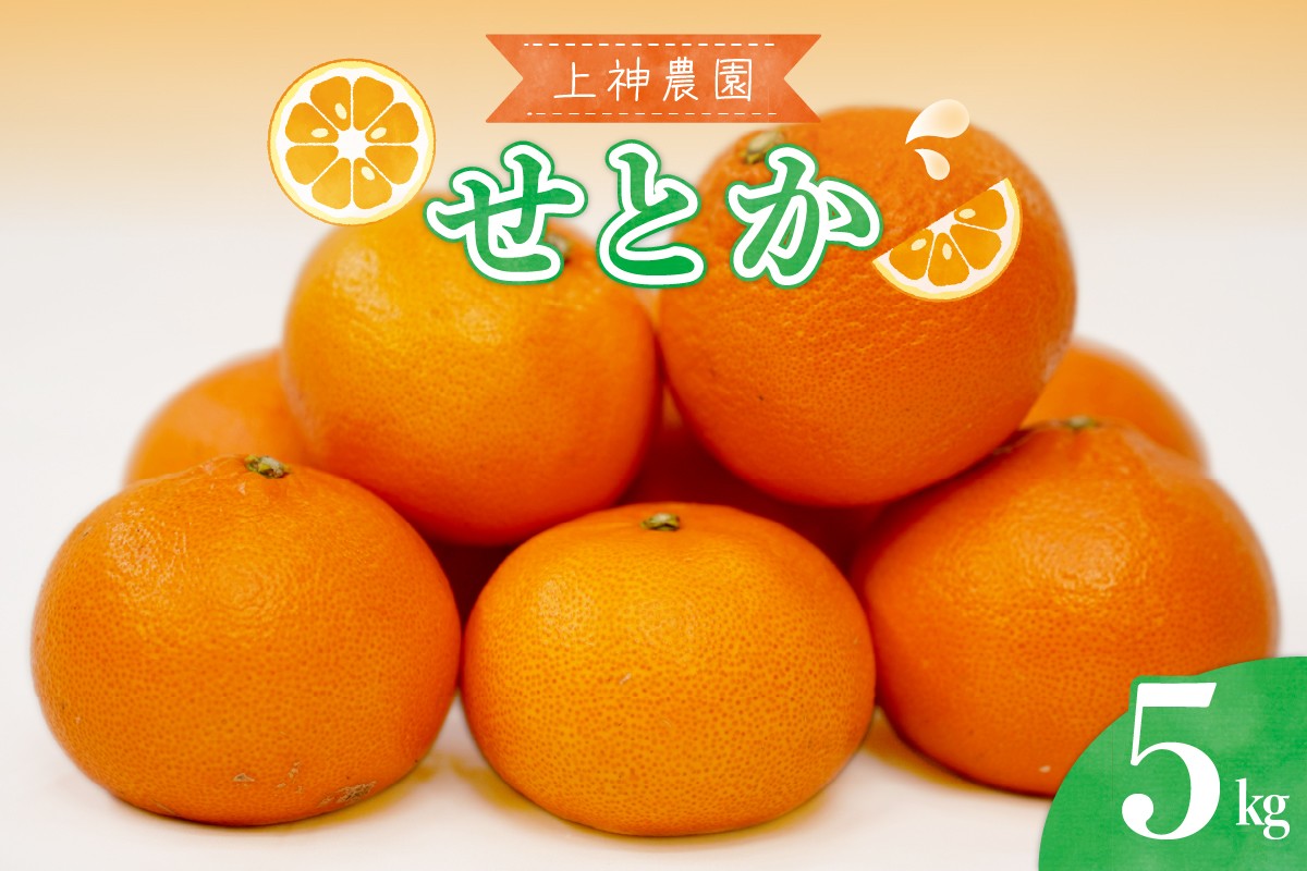 
            【2026年2月初旬～発送】上神農園 の 広島県産 せとか 約5kg ku011-009-25
          