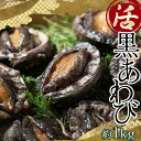 【ふるさと納税】中泊直送 天然 ”活” 黒あわび 約1kg 【卓立水産】貝 海鮮 津軽海峡 活鮑 活あわび 活アワビ 黒鮑 黒アワビ アワビ 鮑 天然 産地直送 海産 魚貝 魚介 中泊町 青森 F6N-026