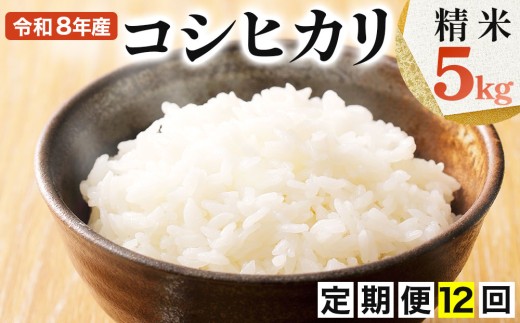 [108-a001]【定期便】≪12ヶ月≫ 令和8年産米 コシヒカリ精米 5kg