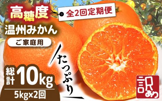 みかん【2026年12月〜発送】【訳あり 2回 定期便 】 温州みかん 約5kg（傷もの） / みかん 訳アリ 定期便 ミカン 蜜柑 長崎県産みかん 糖度 果物 くだもの 果物定期便 フルーツ ふるーつ フルーツ定期便 旬 家庭用 5kg みかん 蜜柑 柑橘 ミカン フルーツ 果物 くだもの 産地直送 国産 mikan 先行予約 みかん定期便 / 南島原市 / 南島原果物屋 [SCV018]