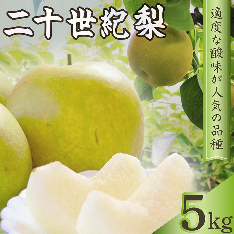 【ふるさと納税】梨 二十世紀梨 約5kg（13玉前後）国産 期間限定 デザート 甘い ジューシー ふるさと 納税 梨 なし ナシ 5kg 先行予約 ふるさと 納税 フルーツ くだもの 青梨 ふるさと 納税 期間限定 ふるさと 納税 梨　ふるさと納税 梨