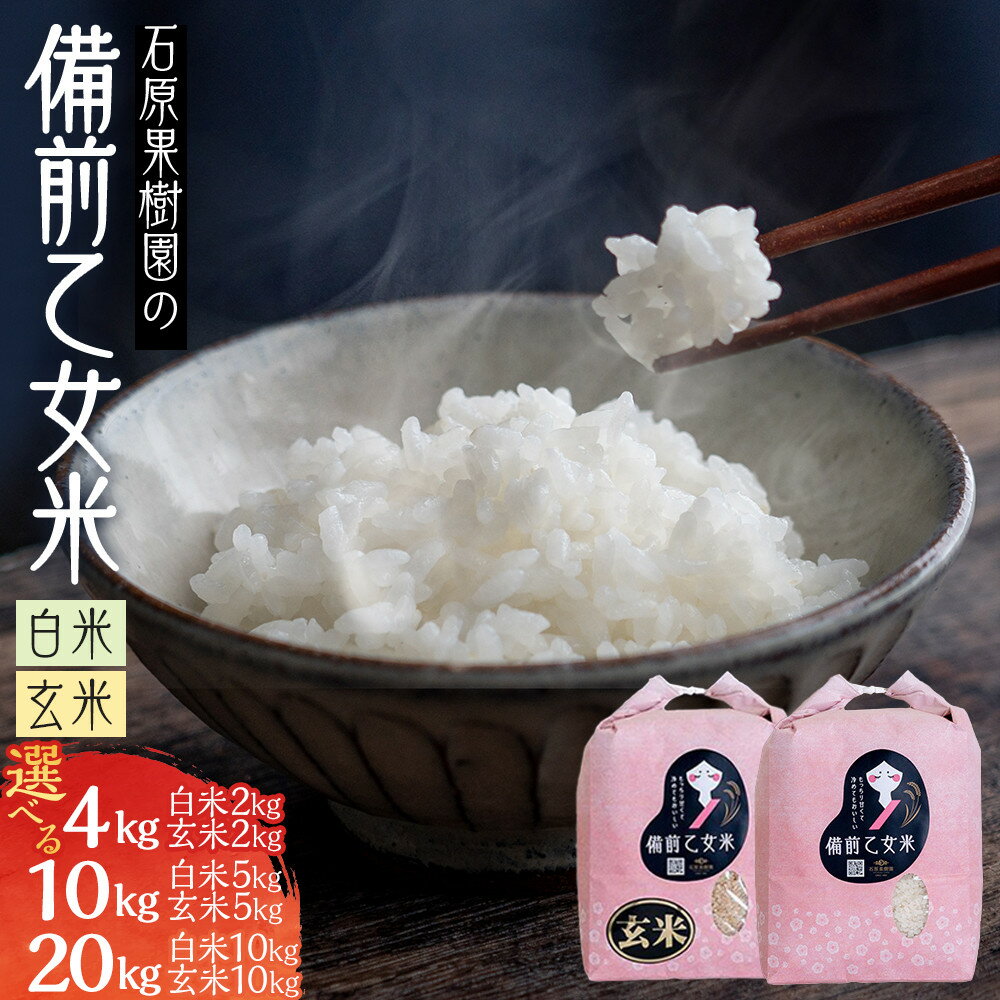 【ふるさと納税】＼先行予約 2025年11月下旬より発送予定／ 令和7年産 岡山県産 米 備前乙女米 玄米と白米のセット ≪選べる容量≫ 4kg ～ 20kg | 米 お米 こめ 白米 精米 玄米 ライス 乳酸菌栽培 お取り寄せ ご飯 ごはん 小分け 4kg 10kg 20kg 岡山市 ふるさと納税