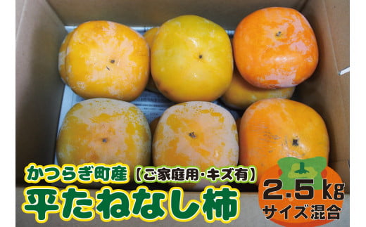 【訳あり・ご家庭用】 たねなし柿 約2.5kg 【2025年10月上旬から2025年11月上旬順次発送】