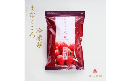 まなこころ・冷凍いちご　1kg　1袋 【 イチゴ 苺 おやつ スムージー 埼玉県 特産 】