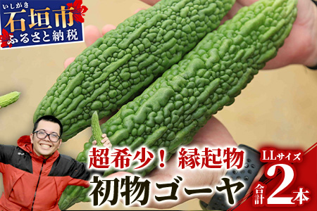 【予約受付】「最優秀賞」受賞の農家！希少品！贈答用「初物ゴーヤ」2024年12月下旬～2025年1月上旬発送 OI-1