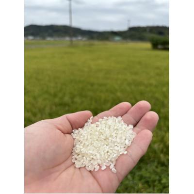 ふるさと納税 牧之原市 至高のミルキークイーン(白米)10kg |  | 01