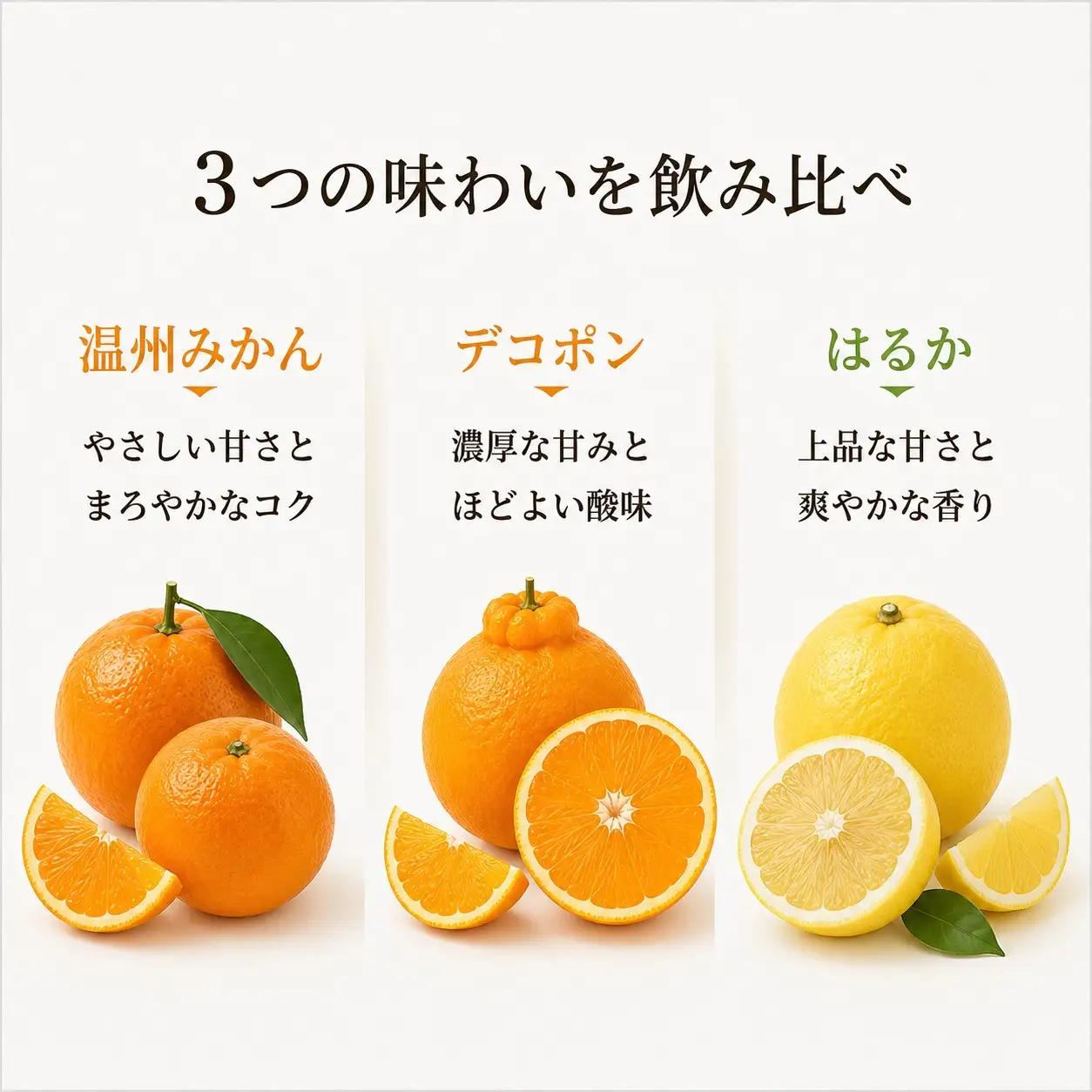 柑橘ジュース「極っ」なかざセット