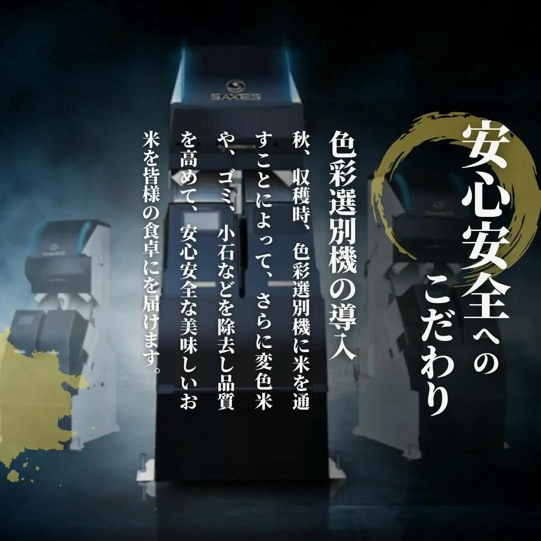 【先行予約】令和8年産 新米 ゆきん子舞 玄米 10kg(5kg×2袋)【9月中旬発送開始】 | 新潟県産 米 玄米 五泉市