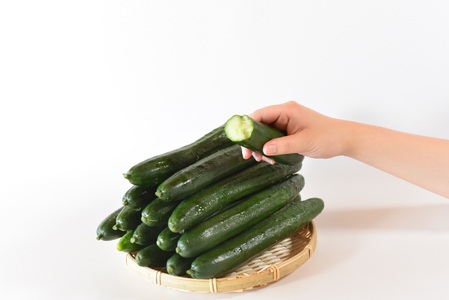 ＜【3ヵ月定期便】【期間限定】宮崎県産きゅうり(約2kg)×3回＞(3本入り×5袋)×3回)パリッと甘い魔法のキュウリ「マジキュー」漬物や天ぷらに！【MI201-yt】【ゆたか農園】