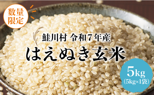 ◇数量限定品◇ 令和8年7月上旬発送 ＜令和7年産＞ はえぬき 【玄米】 5kg （5kg×1袋）鮭川村
