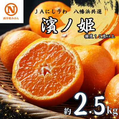 【ふるさと納税】JAにしうわの季節の柑橘(八幡浜共選「濱ノ姫」約2.5kg)【C08-76】_ みかん ミカン 柑橘 フルーツ くだもの 果物 ふるーつ 青果 果実 甘い ジューシー 産直 産地直送 旬 柑橘類 人気 愛媛 果汁 JA 農協 濃厚 コク 【1510451】