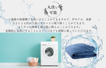 洗える羽毛布団 セミダブル クリーム 二枚合わせ 羽毛掛けふとん 冬用