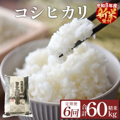 ふるさと納税 石巻市 <先行受付> 令和8年産 定期便 精米 60kg (10kg×6回発送) コシヒカリ 新米