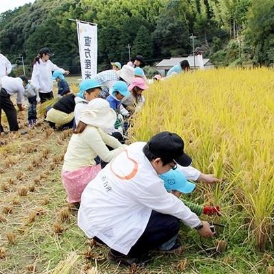 ふるさと納税 直方市 九州産ふくのこ米粉使用　米粉パンケーキミックス3個セット |  | 03