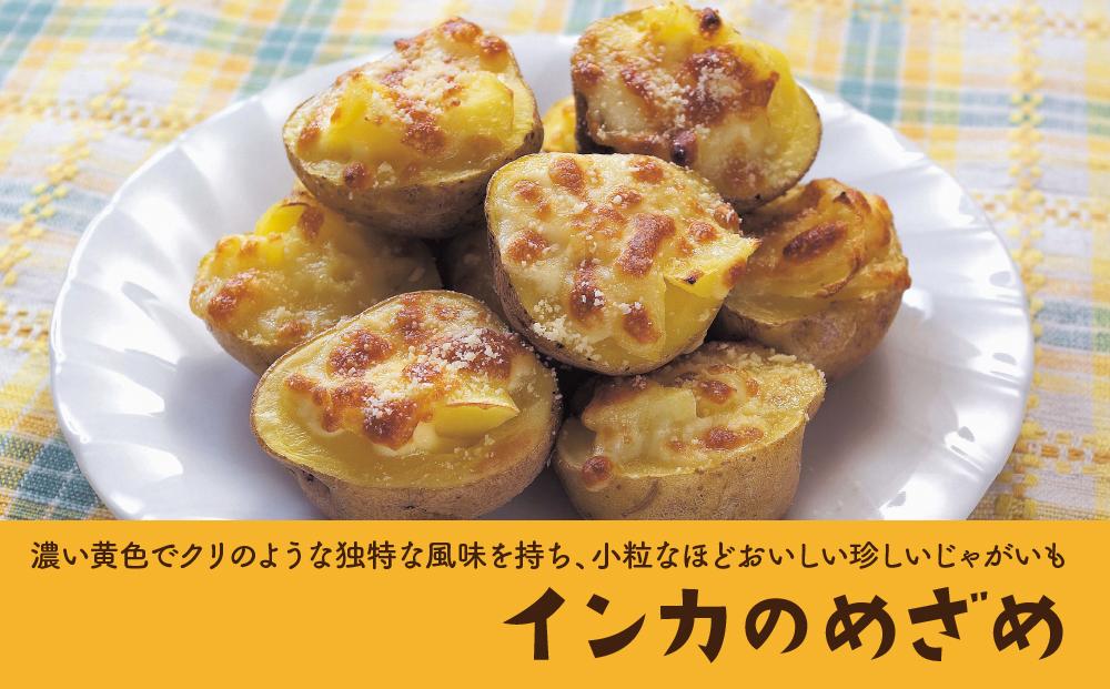 【先行予約】北海道産じゃがいも（インカのめざめ）4kg（2024年9月中旬頃発送開始）_00417