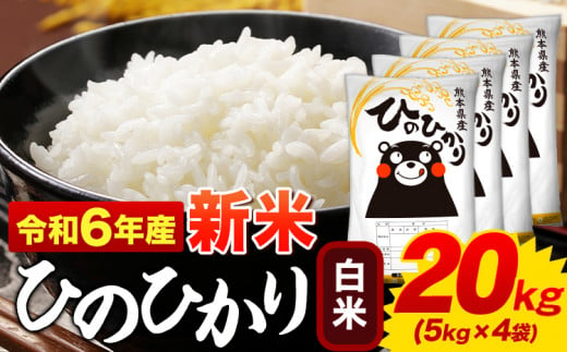 白米 ひのひかり 20kg 令和6年産  熊本県産 ふるさと納税  白米 精米 ひの 米 こめ ふるさとのうぜい ヒノヒカリ コメ お米 おこめ <11月-12月より出荷予定(土日祝を除く)>