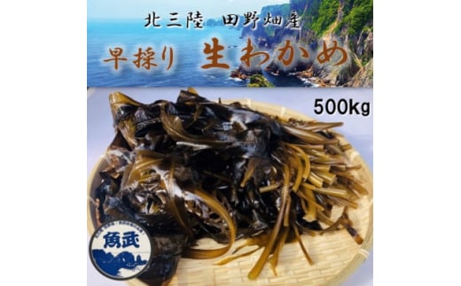 ＜期間限定＞早採り生わかめ 500g【1540789】