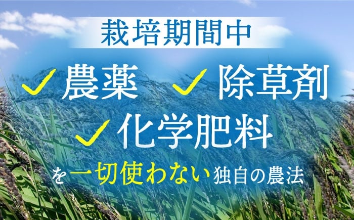 茶 お茶 黒茶 焙煎 焙煎茶 ヒノヒカリ 白米 ノンカフェイン