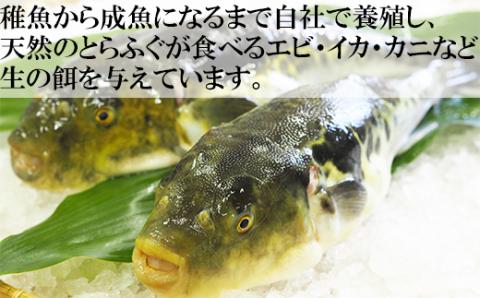 【冷凍】大分水産の豊後とらふぐ鍋&高級魚くえ鍋の味比べセット（3～4人前）＜104-031_5＞