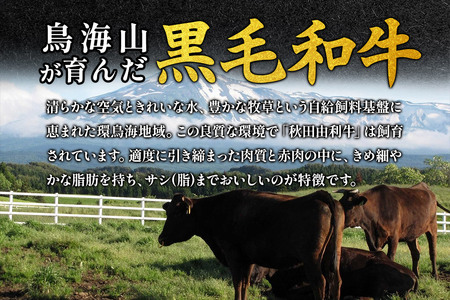 《定期便》2ヶ月連続 秋田由利牛 バラ切り落とし 4kg（500g×8パック）