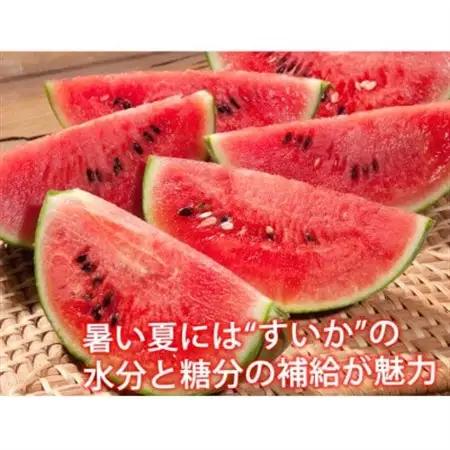 大玉すいか 秀品 1玉(約6kg～9kg)【2027年5月下旬より順次発送予定】【1586101】