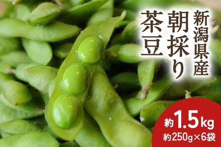 【2024年先行予約】新潟県産 朝採り 茶豆 約1.5kg《8月中旬～順次発送》