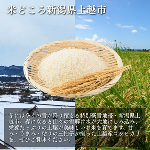 令和7年産 新潟県上越産 米物語 コシヒカリ 定期便 4kg（2kg×2袋） 全6回 計24kg【6ヶ月連続お届け】 こしひかり 上越市