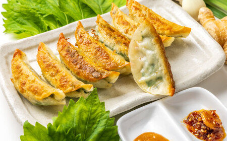 【10パック】餃子屋ヒロの 人気のしそ餃子【餃子屋ヒロ】開成町 餃子 点心 惣菜 冷凍[BDAS003-4]