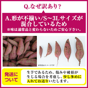さつまいも サツマイモ 紅はるか 訳あり 12kg 末永商店  No.560-B