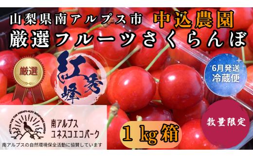 ＜2026年発送先行予約＞ 山梨県南アルプス市産 厳選さくらんぼ (紅秀峰) 1kg ALPEM013