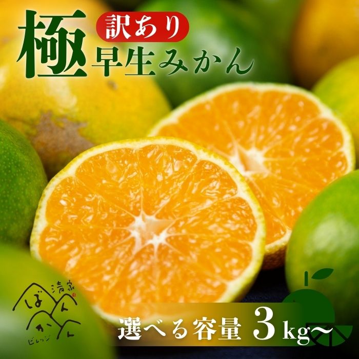 【ふるさと納税】選べる内容量 愛媛みかん ( 極早生 ) 3kg・5kg・10kg 2S から L サイズ サイズミックス 温州みかん 柑橘 みかん お試し 試供品 少量 7000円 産地直送 国産 農家直送 糖度 期間限定 数量限定 早採れ 清家ばんかんビレッジ 愛媛県 愛南町