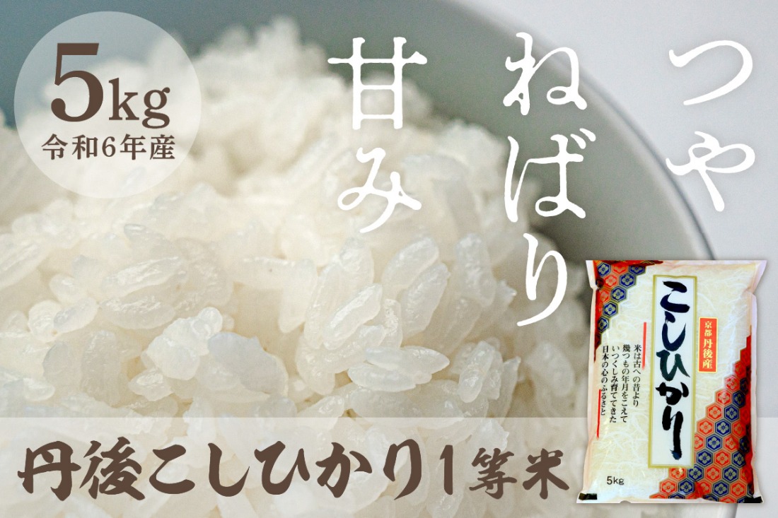 令和6年産 1等米 丹後こしひかり 5kg　西日本最多特A獲得★ 大正初期創業の老舗米商店が厳選した一等米をお届け★ 白米 コシヒカリ　MU00035