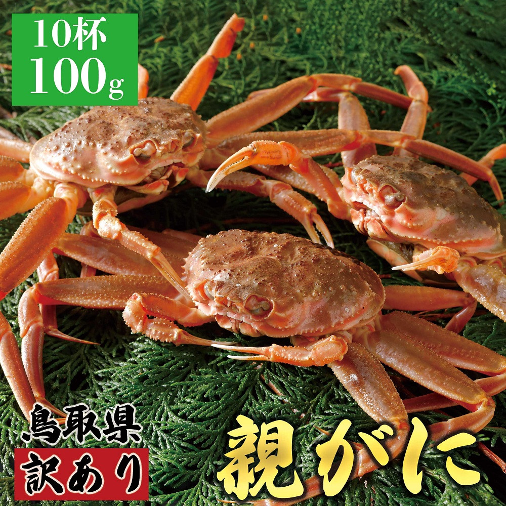1073.【2025年12月発送】鳥取県産 特撰 親がに 姿【セコガニ】（なま）【訳あり】100g 10杯