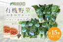 【ふるさと納税】（チルド）山口農園　有機野菜　おまかせセット ＋ カレー2箱　詰合せ