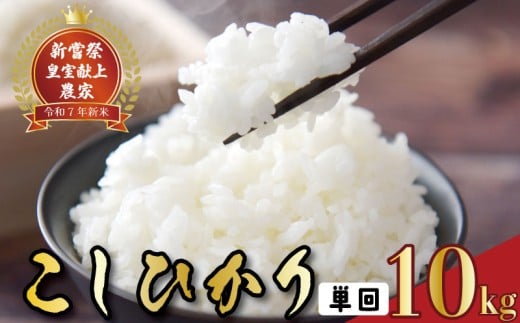 令和7年産 コシヒカリ 白米 10kg お米 精米 新米 高知県産 ごはん 弁当 おにぎり 料理 新嘗祭 皇室献上米 令和7年 R7年 農家直送 申込後精米 発送 贈答用 ギフト 食べ比べ 食品 通販 ふるさと納税 産地指定 グルメ 食事 主食 炊飯 おかず 一人暮らし 家族 安芸市 高知県