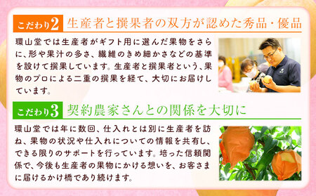 桃  岡山白桃  約1kg 環山堂株式会社 
